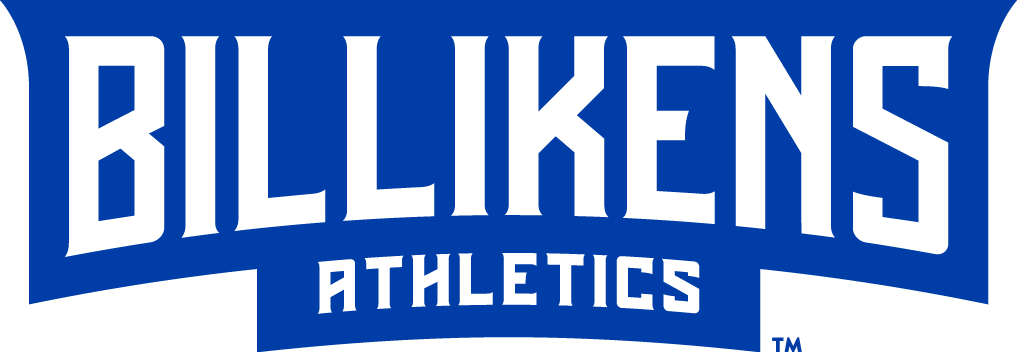 Saint Louis Billikens 2015-Pres Wordmark Logo v7 diy DTF decal sticker